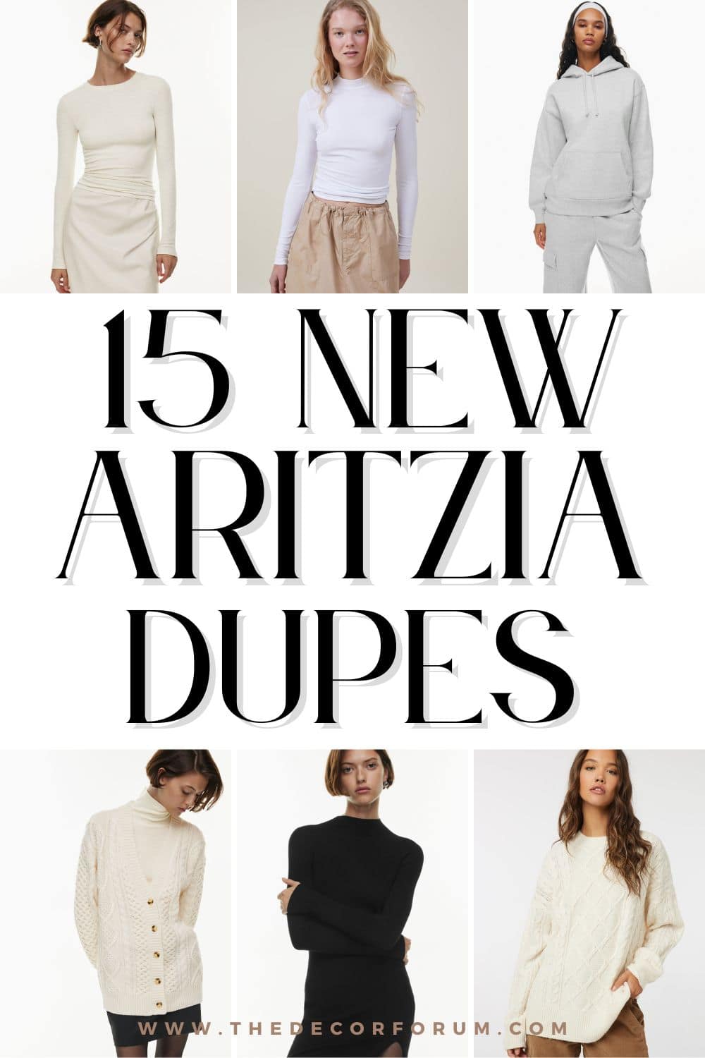 Aritzia Dupes — Villanova Business of Fashion Society