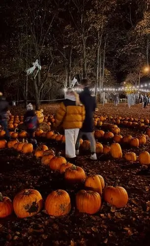 Best halloween date night ideas for couples, go to pumpkin patch