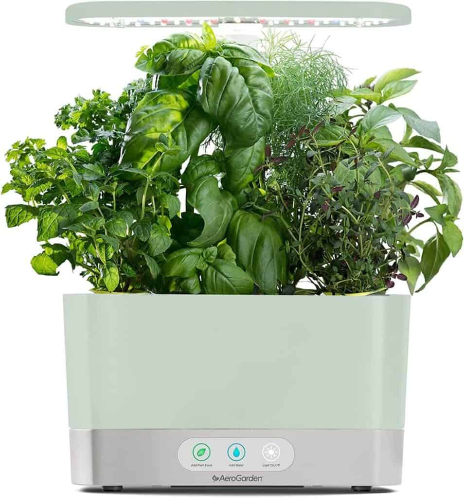 Indoor garden planter hydroponic