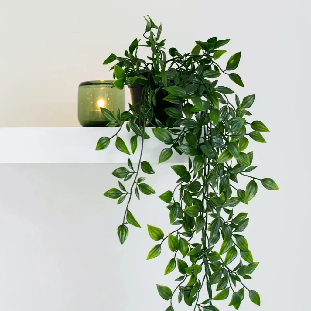 Artifical plant that drapes over shelves