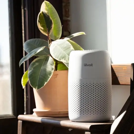 Air purifier for dorm room help keeps allergies and bad food smells at bay