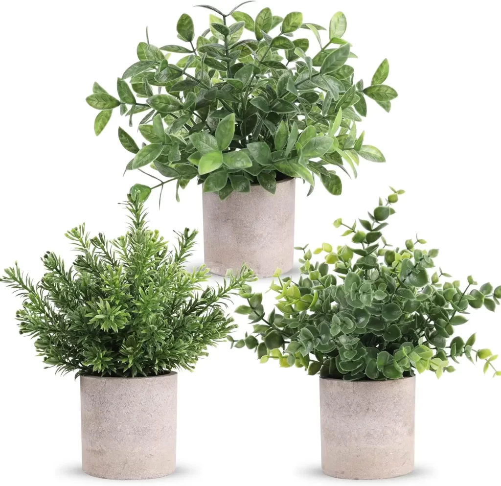 Faux plants for dorm room