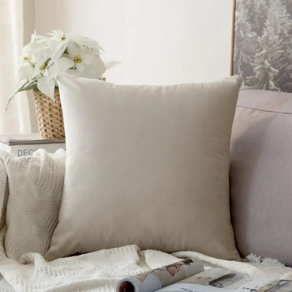 Neutral velvet throw pillow for dorm room