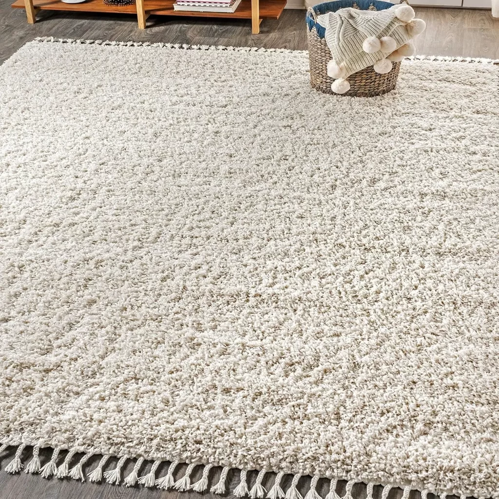 Plush tassel rug for dorm room