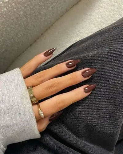 Chocolate brown fall nails, featuring a rich, warm hue ideal for a cozy and stylish autumn manicure, perfect for seasonal nail trends.