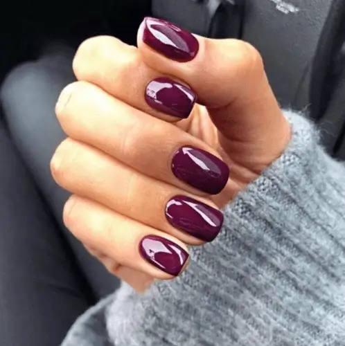 Close-up of plum fall nails, showcasing a deep, moody purple perfect for a trendy and sophisticated autumn manicure, ideal for those seeking stylish fall nail inspiration.