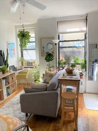 Lush green plants in a living room-bedroom combo, enhancing the decor while improving air quality and creating a calming atmosphere in a stylish, multifunctional space.