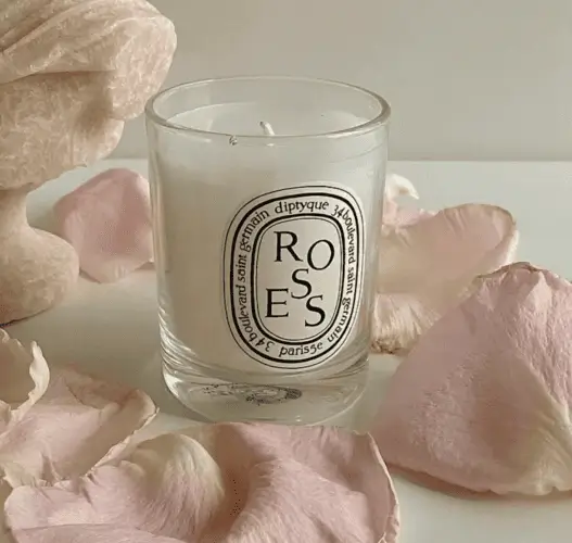 Diptyque Roses Candle, luxury home fragrance gift for an expensive Christmas gift idea