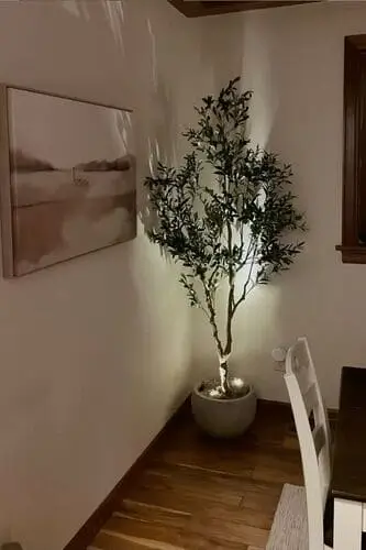 Olive tree with lights makes for chic apartment lighting